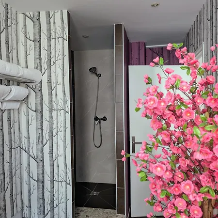 فندق مدموزيل جوان ليه باه